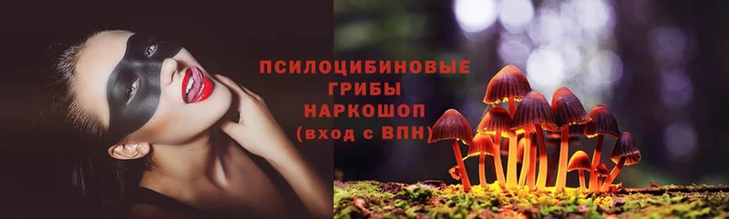 hydra сайт  Долгопрудный  Галлюциногенные грибы Cubensis 